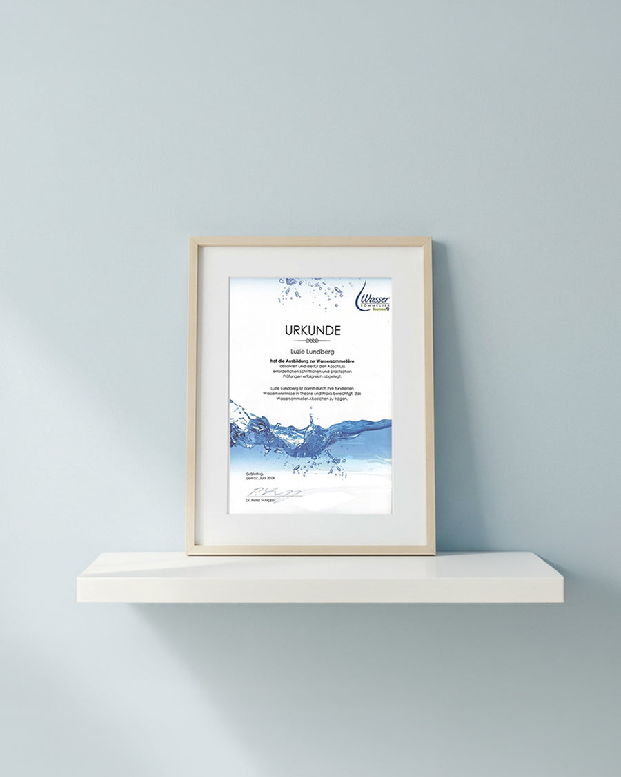 ABOUT splitscreen4 DESKTOP