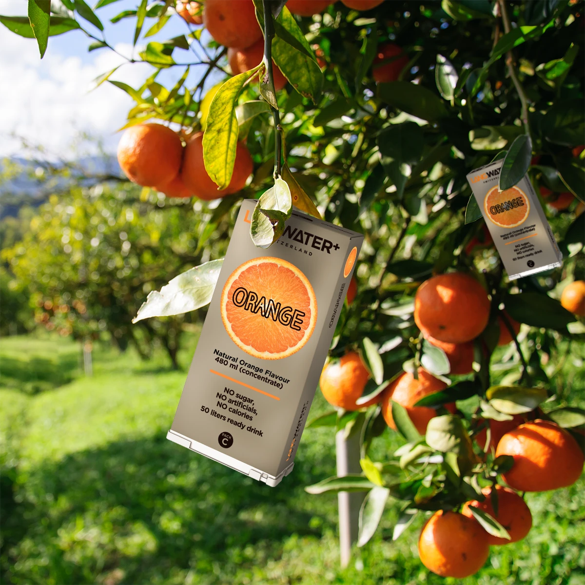 Langwater+ Orangen-Aroma Langpak