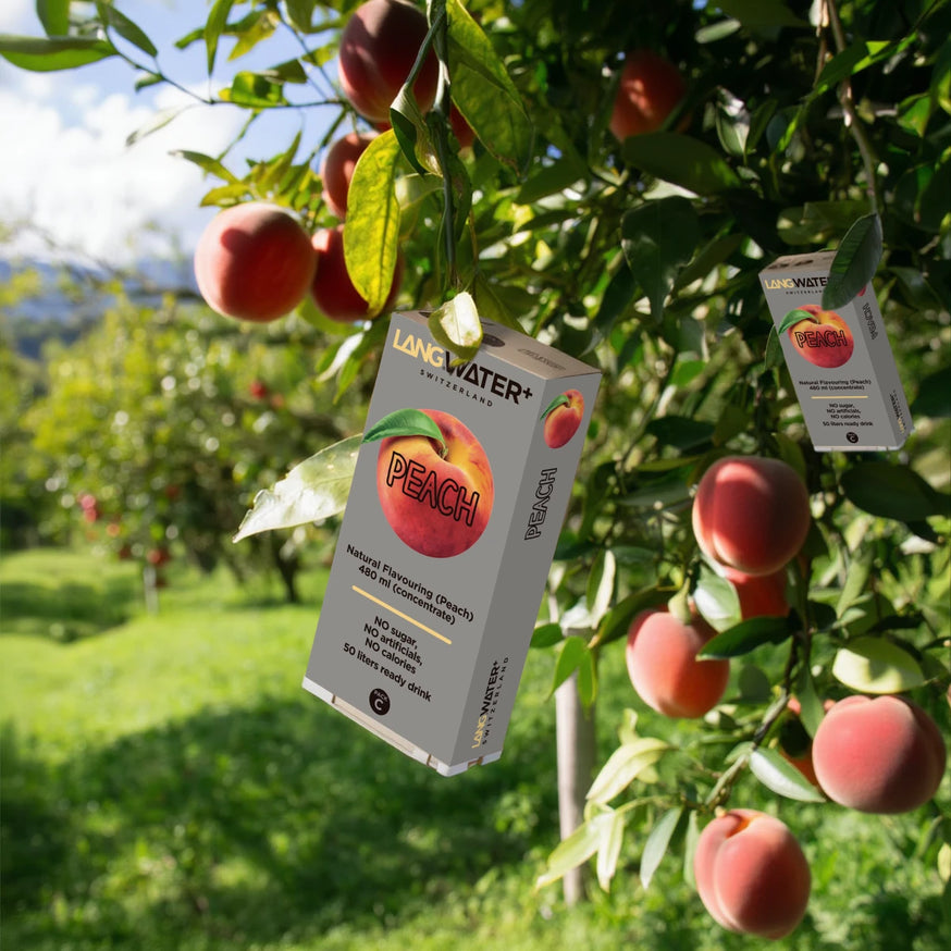 Langwater+ Peach Flavour Langpak