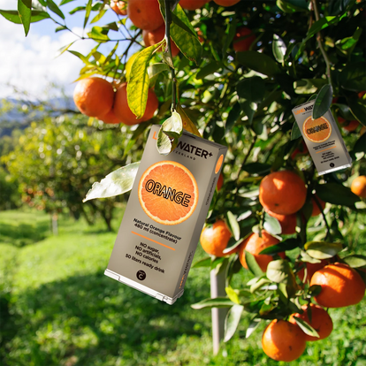 Filtro ad Osmosi Inversa da Banco con Minerali - TheWell 2 Starter Kit + Orange