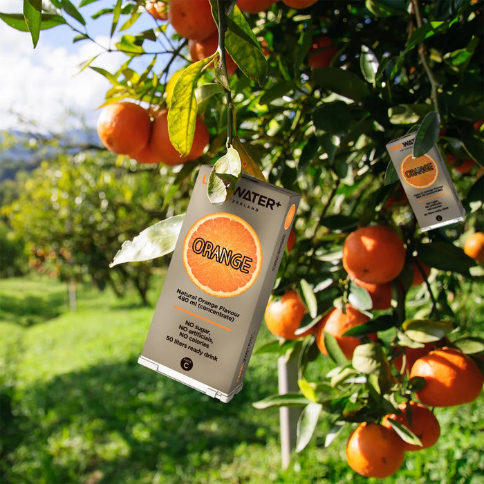 SHOP CategoryCard Flavours